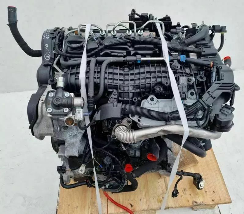 Motor Completo P8FA Ford Transit 2.2 TDCI 85cv P8FB
