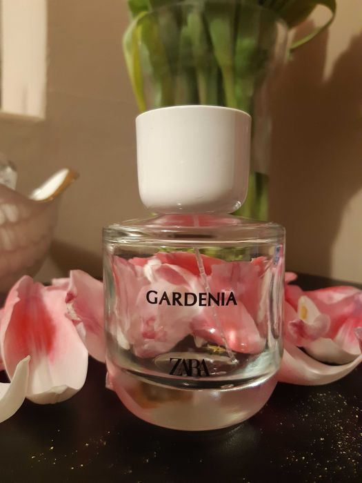 puste Zara Gardenia Violet Blossom Lagerfeld Lady Million Fabulous