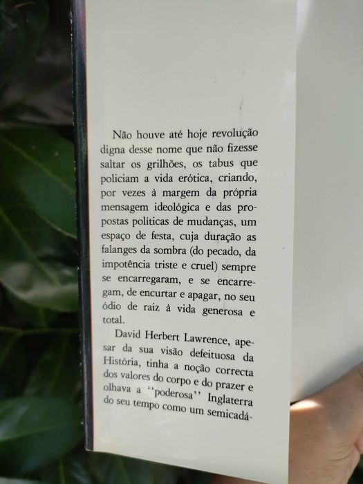 O amante de Lady Chatterley (D. H. Lawrence)