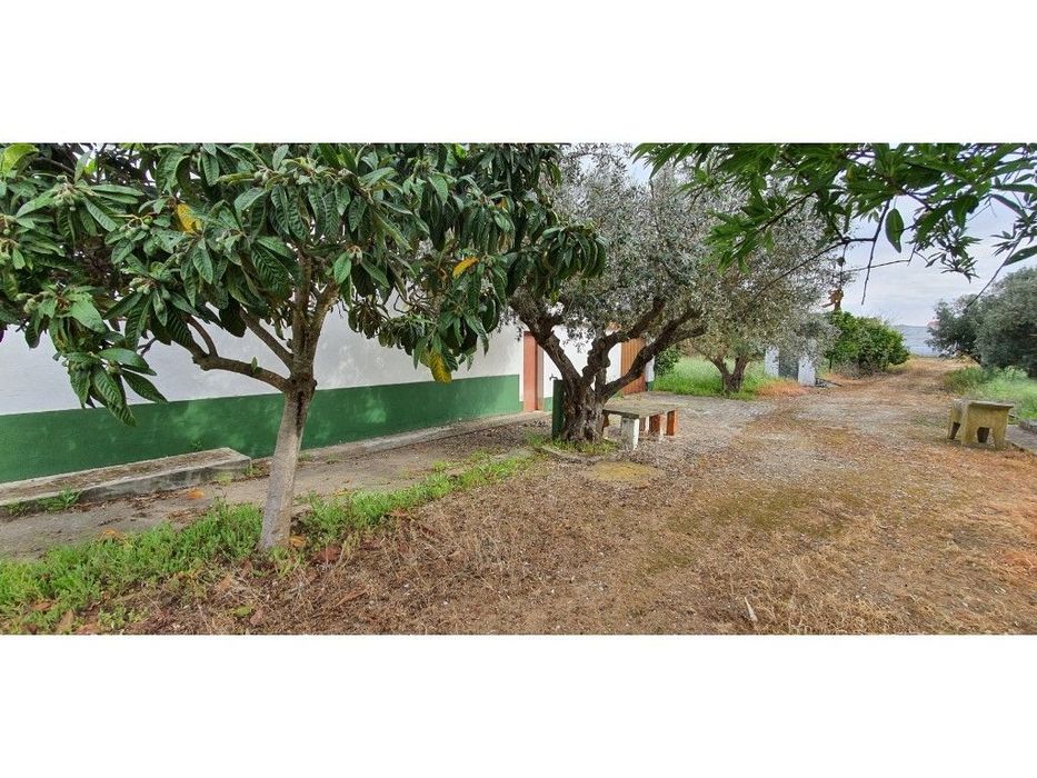 Quinta com 25.000 m2 em Reguengos de Monsaraz