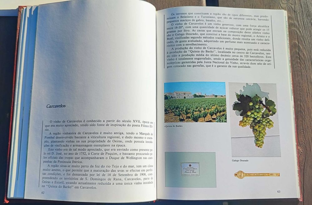 Livro "Guia dos Vinhos Portugueses"