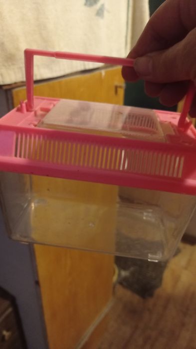 Кліточки на вибір