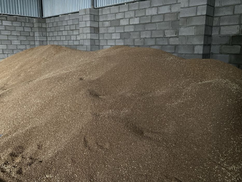 Пшениця/ячмень з доставкою