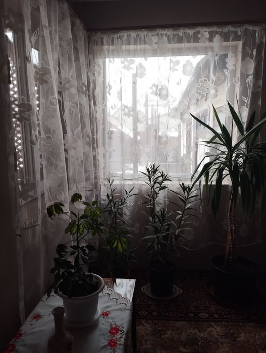 Продам дом Закарпатье Боржава