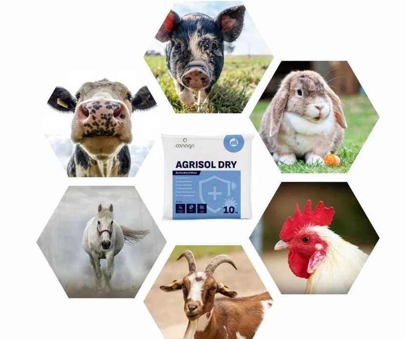 Preparat do suchej dezynfekcji, Agrisol Dry, 10 kg,