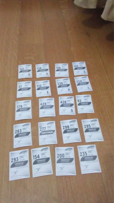 Futebol 24/25 panini