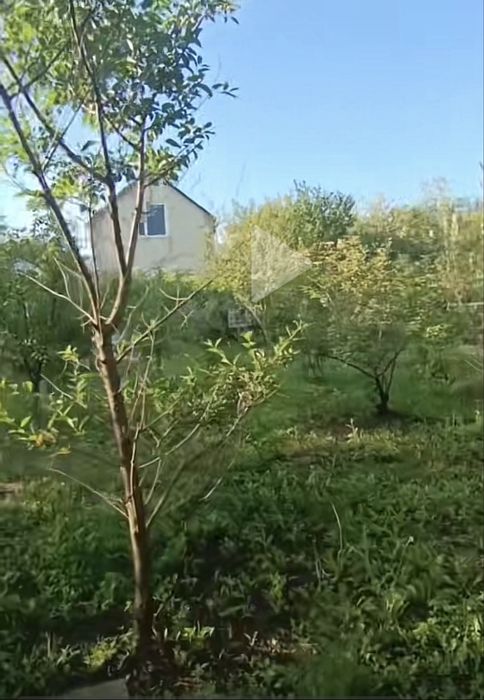 Продам дачу в селищі Рай-Оленівка