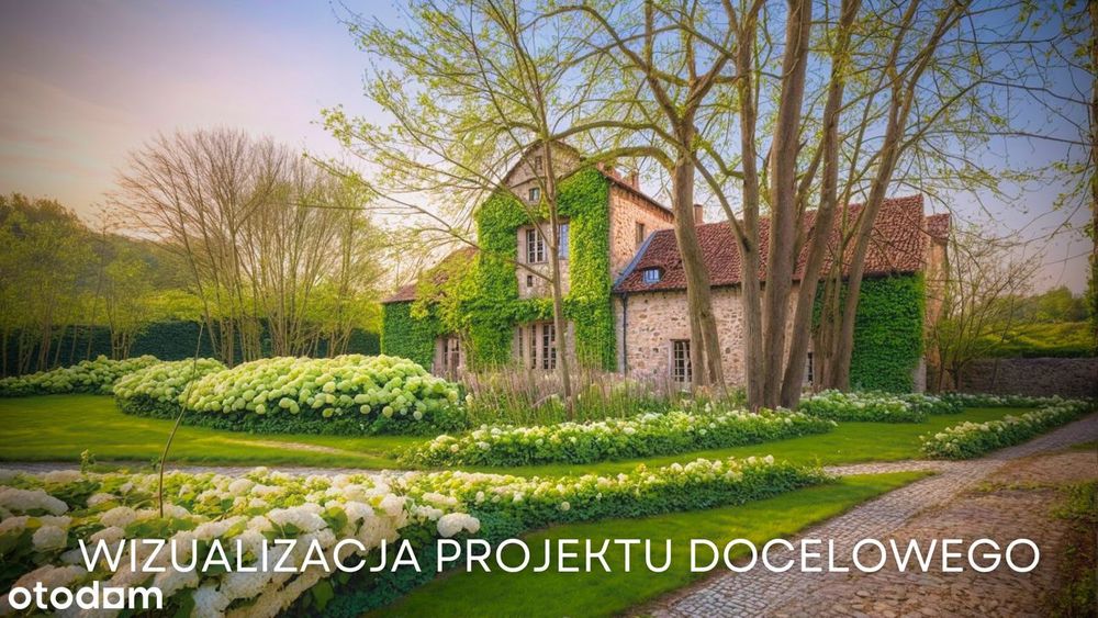 Zdjęcie 2