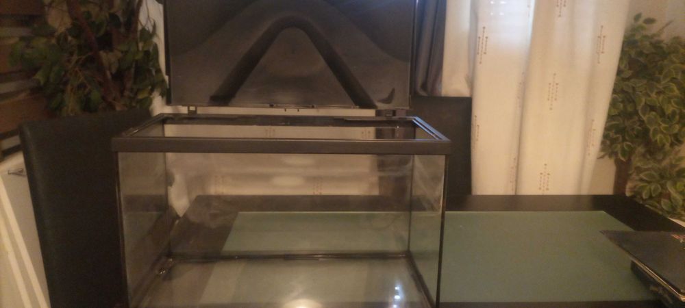 aquaro de peixe bom estado