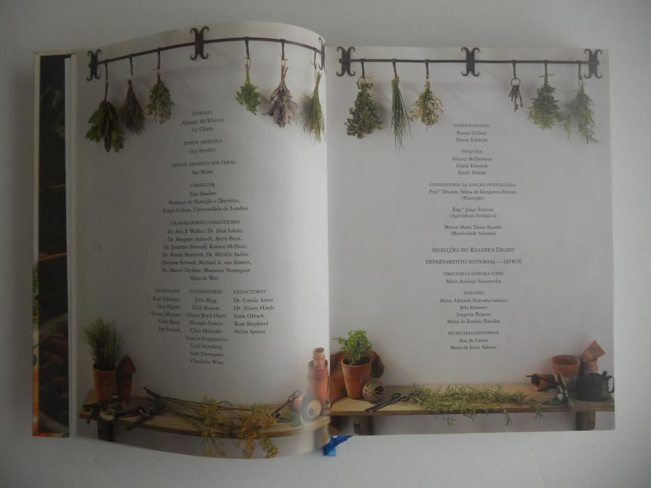 Livro culinária novo - "Alimentos Bons, Alimentos Perigosos"