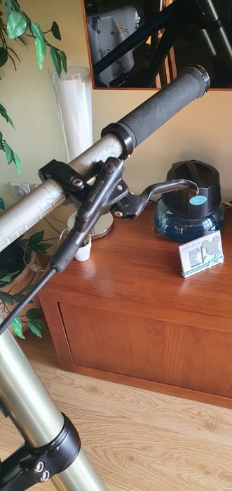 Saracen myst carbon