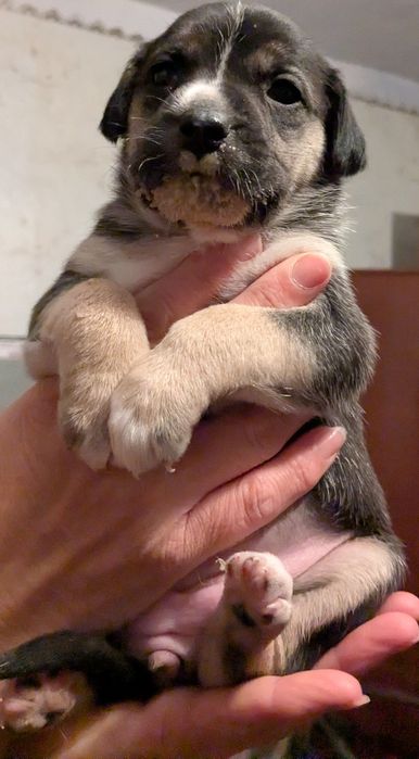 Возьмите ребенка в семью