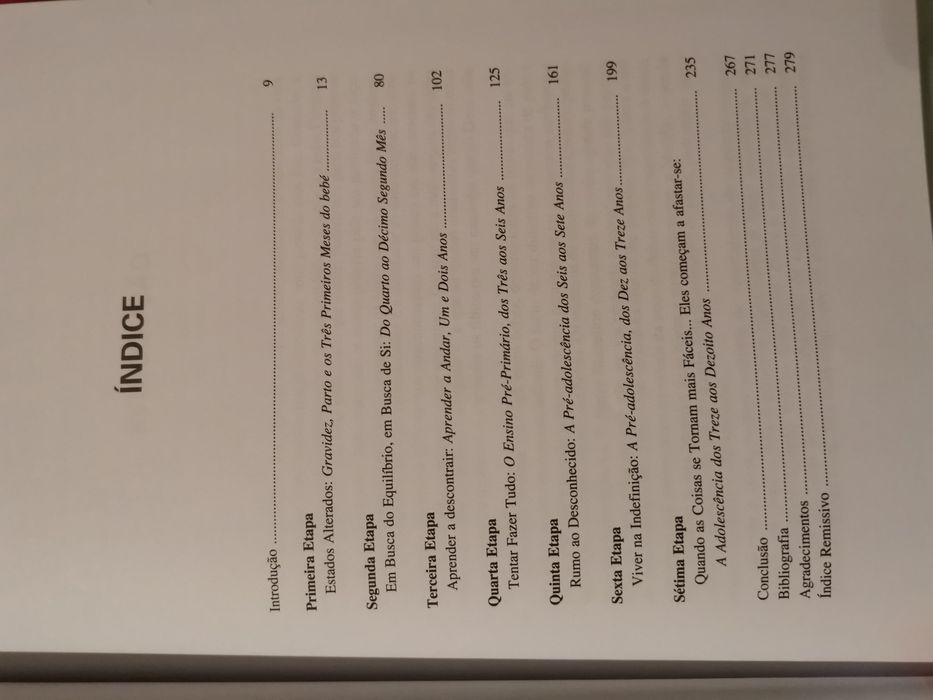 As Sete Etapas da Maternidade Livro