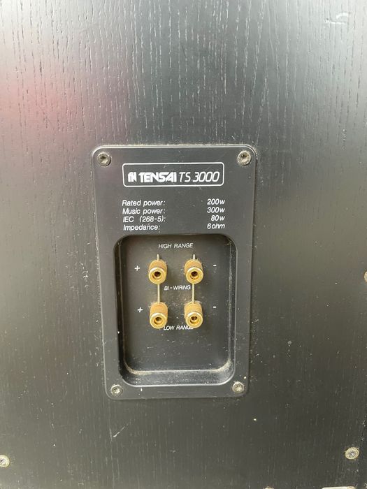 Colunas de som de auto potência