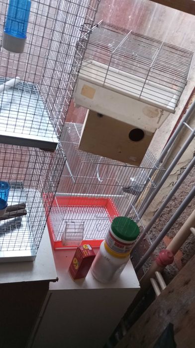 Conjunto de gaiolas de criação