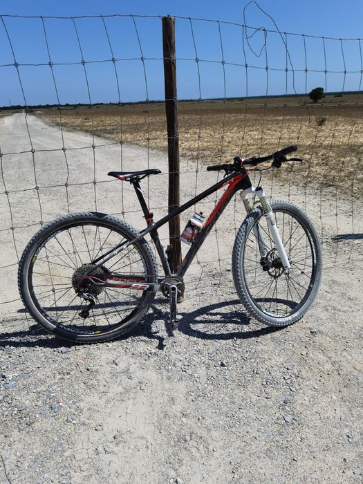 Focus Raven 29 carbono