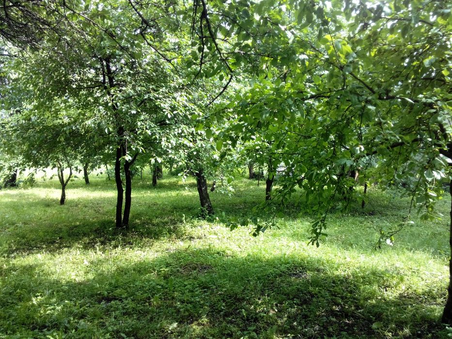 Продаємо ділянку