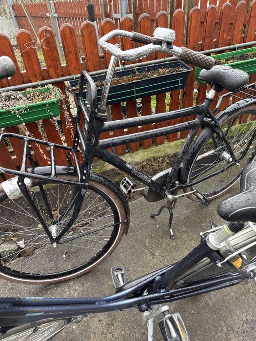 Rower holenderski Gazelle Giant Kuga