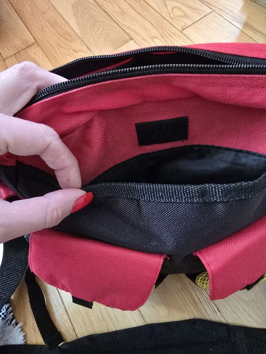 Сумка рюкзак дитячий в садочок Chicco