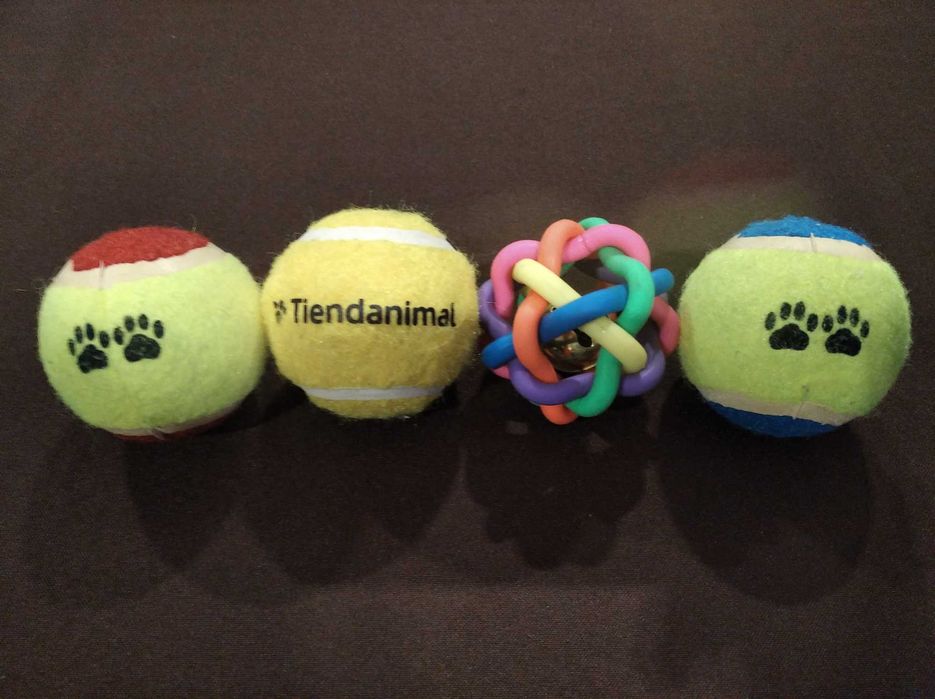 Bolas de ténis e bola com guizo para cães / cachorros