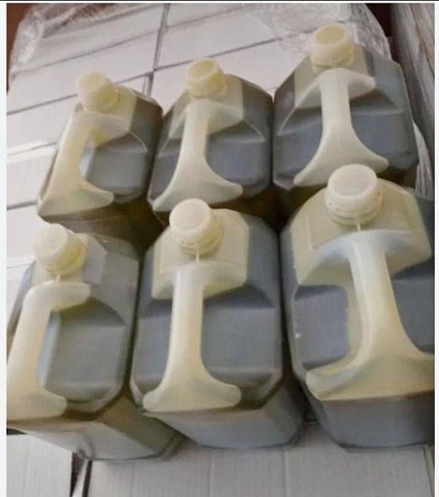 Azeite bom deste ano