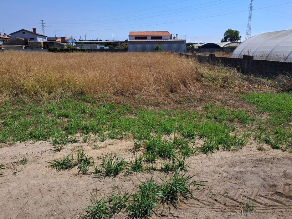 Limpeza trator e capinadeira