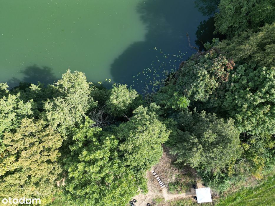 Działka z WZ, linią brzegową jeziora,prywatną plażą i winnicą - Widok 2