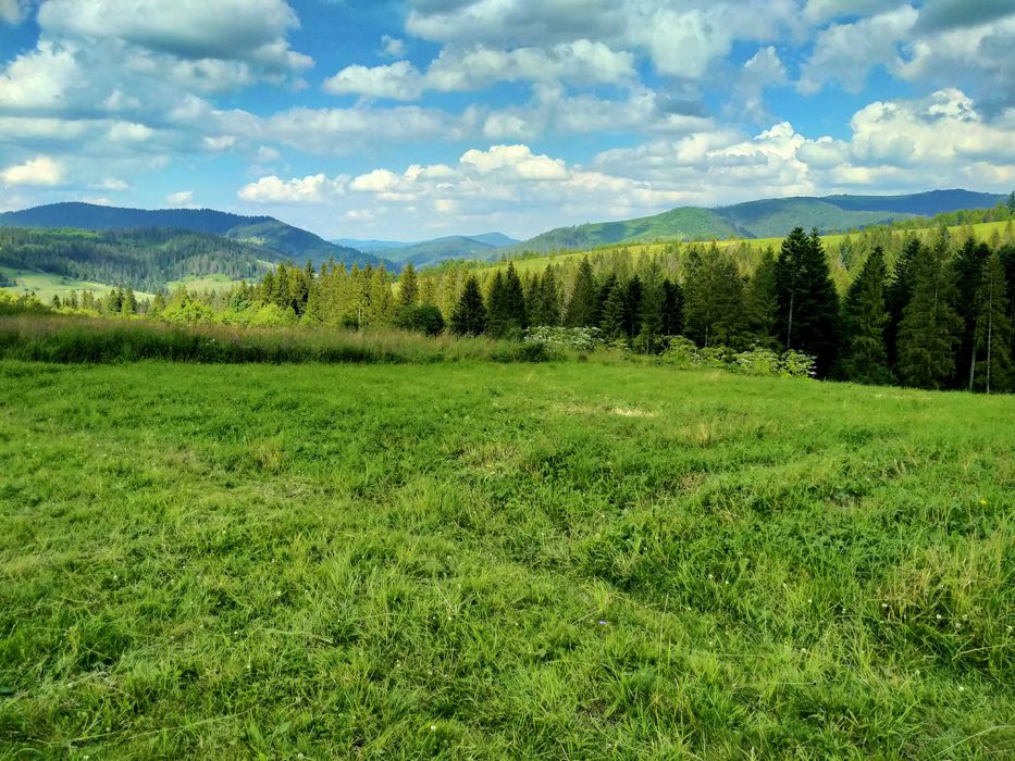 Продаж красивої земельної ділянки ,Славсько ,Волосянка