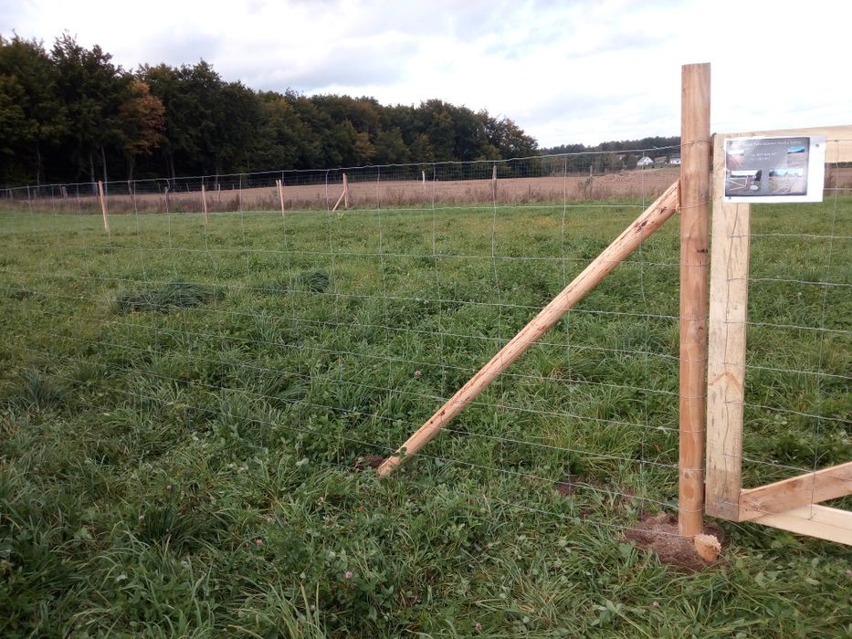 Ogrodzenie Tymczasowe Kwidzyn siatka leśna już 16 zł. za mb