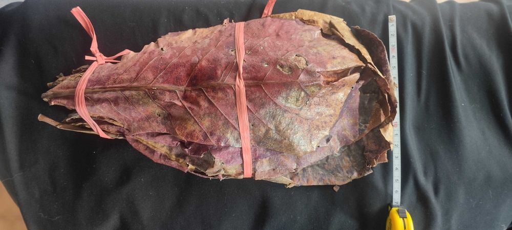 Vendo folha de capata