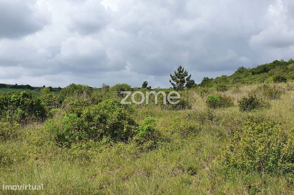 Terreno Rústico 6.840m2 Azambujeira Rio Maior Santarém