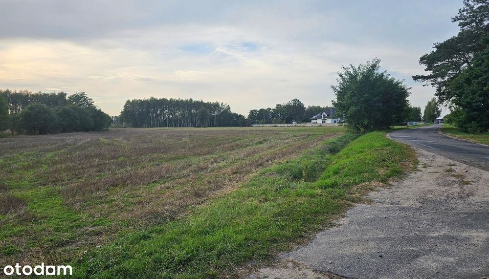 Działka 10.090 m2 - Pratków, gm. Zduńska Wola