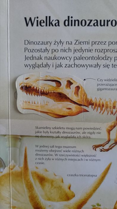Świat dinozaurów, sprawdźcie sami