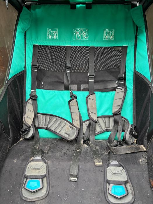 Thule Chariot Lite 2