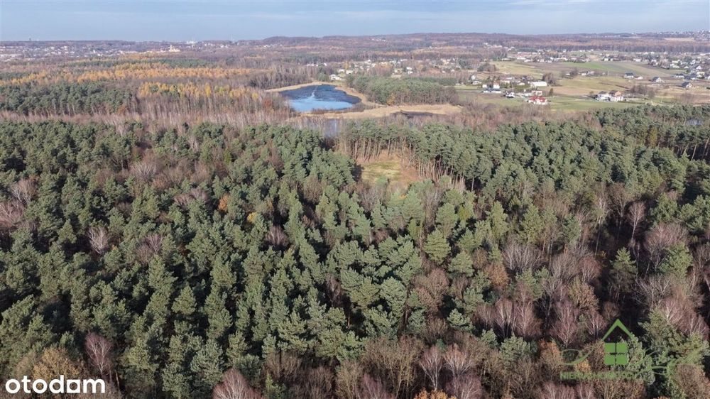 16 Działek Budowlanych – Orzesze, Ul. Truskawkowa