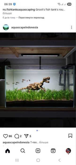 Обслуживание морских и пресных аквариумов,чистка аквариумов