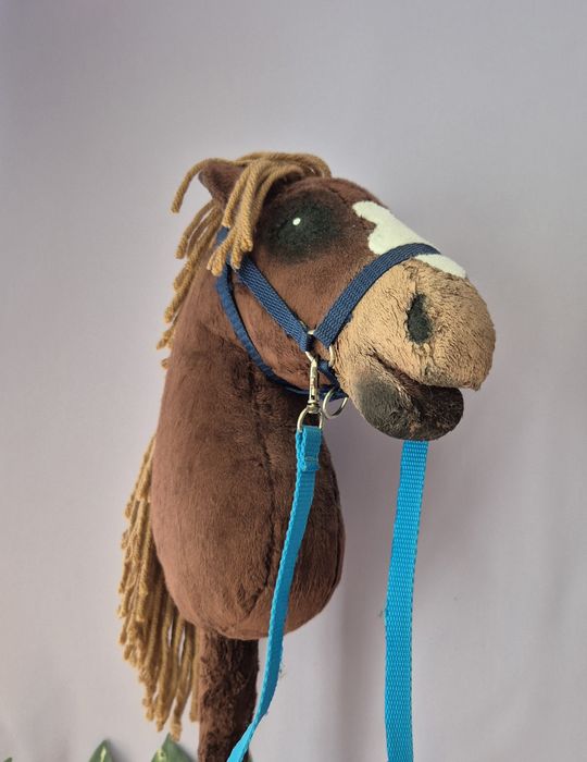 Hobby Horse A4 zestaw