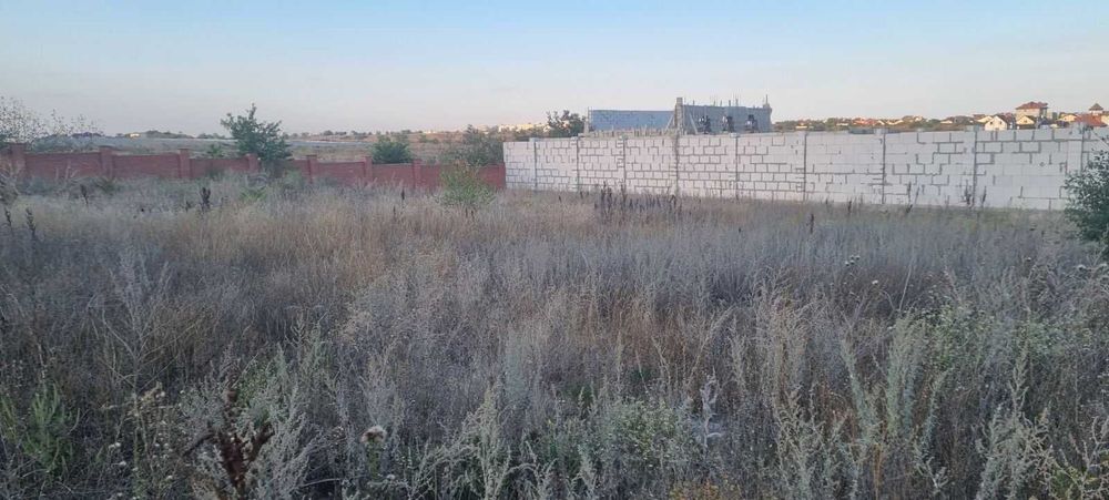 Продам свою ділянку "Зеленый Гай" (Совиньон). 7 соток