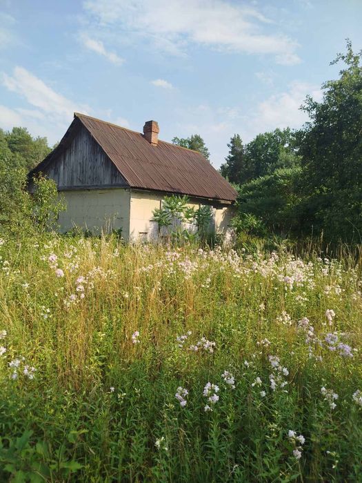 Продаж! Дерев'яний будинок + 53 сот. в с. Дідовичі, Ківерцівський  р-н.