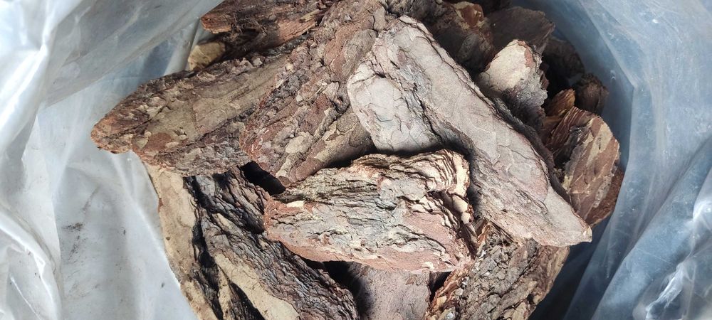 Kora sosnowa ozdobna 80-150 ręcznie wybierana