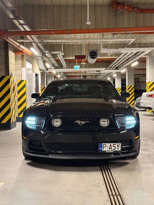 Ford Mustang GT 2014 Premium pakiet Brembo i LSD