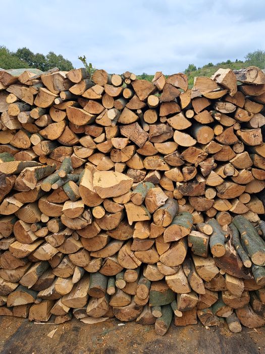 Дрова бук, граб, береза