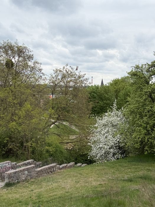 Bydgoszcz 144 m² ul. Barwna 10 Jary, Blonie, 5 pokoji, 2 łazienki - Ansicht 6