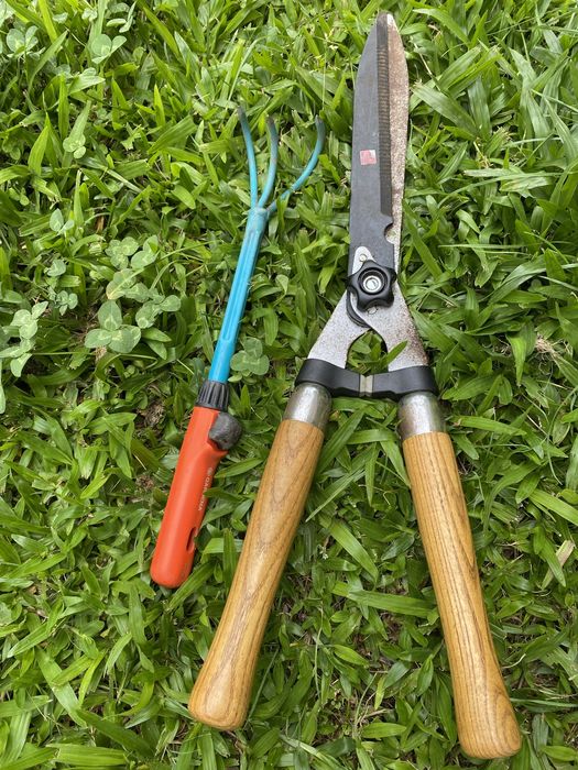 Tesoura e ancinho de jardinagem