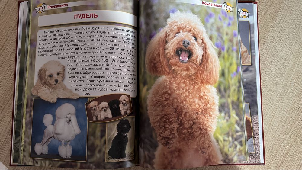 Енциклопедія собаки
