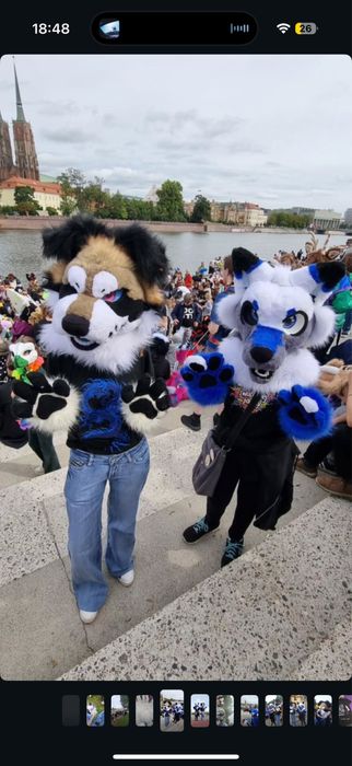 furry fursuit mini partial