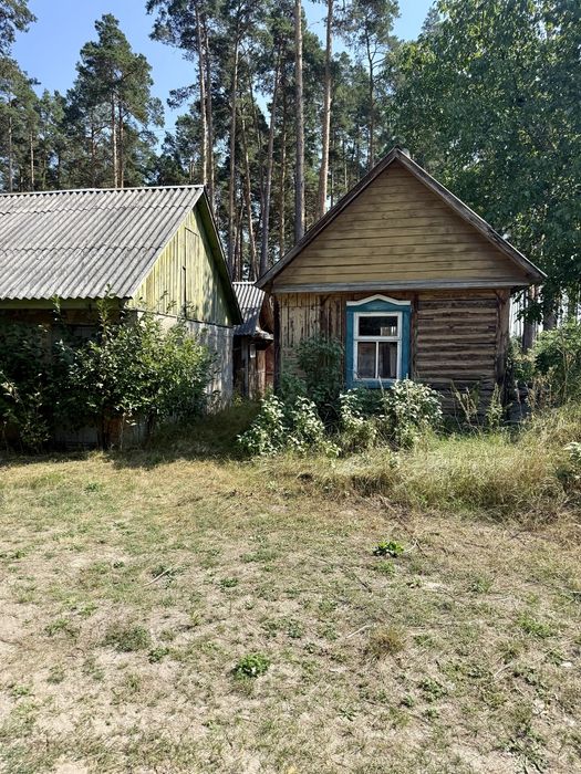 Затишна частина будинку 68,5 м2 біля лісу та річки — 3 кімнати, ділянка, літня кухня!