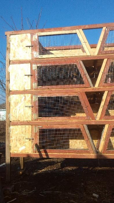 Клетка для кролей, кролятник