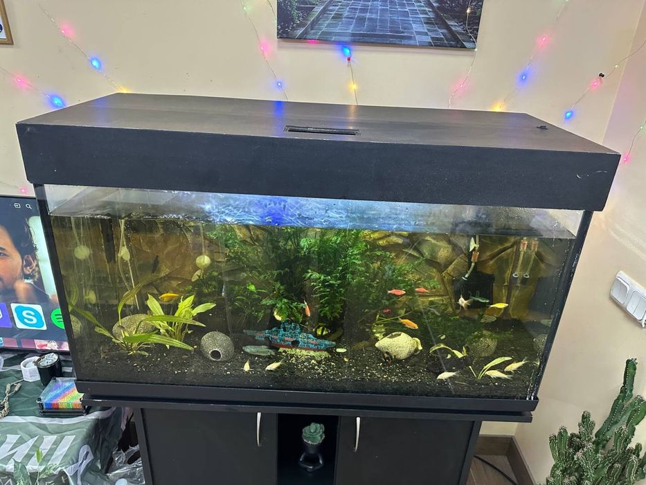 Продам аквариум (комплектом все как на фото)