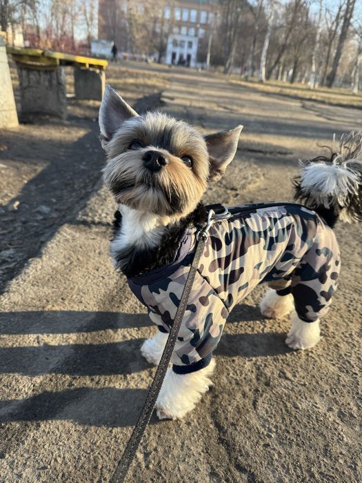 Вʼязка Бівер-йорк